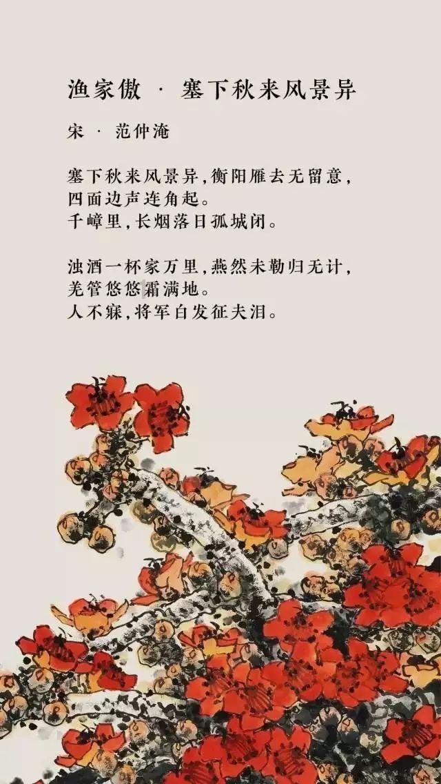 创作猫